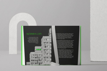 Открытая книга с лентой посередине