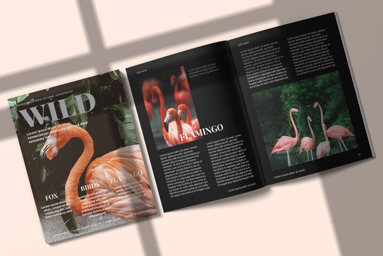 مجلات بحجم أحرف US