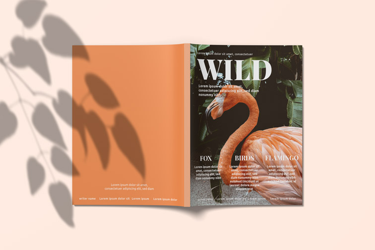 غلاف خارجي لمجلة  بحجم أحرف US