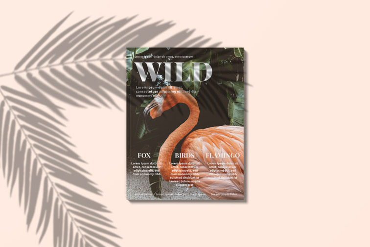 غلاف أمامي لمجلة بحجم خطاب