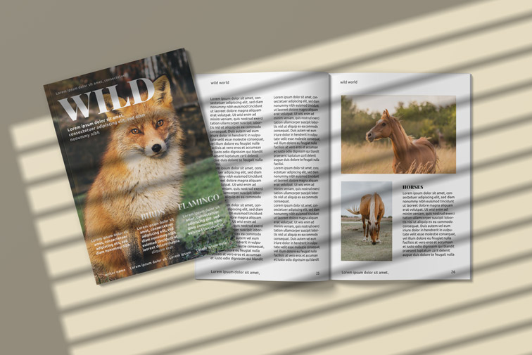 مجلات بحجم A4