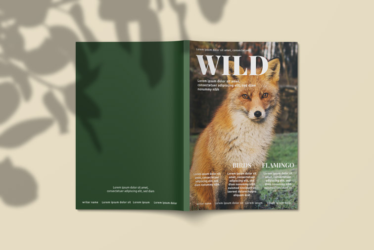 غلاف خارجي لمجلة بحجم A4