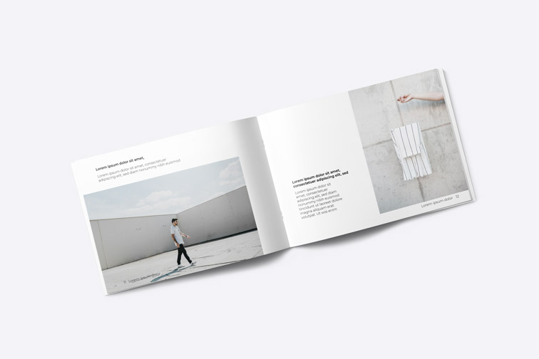 白い背景の上の開いているカタログ