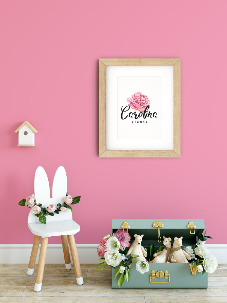 Cadeira com Flores e uma Mala