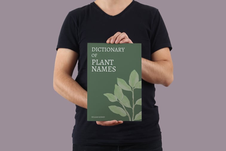 垂直のソフトカバーの本を保持している男