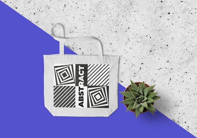 Bolso junto a un cactus