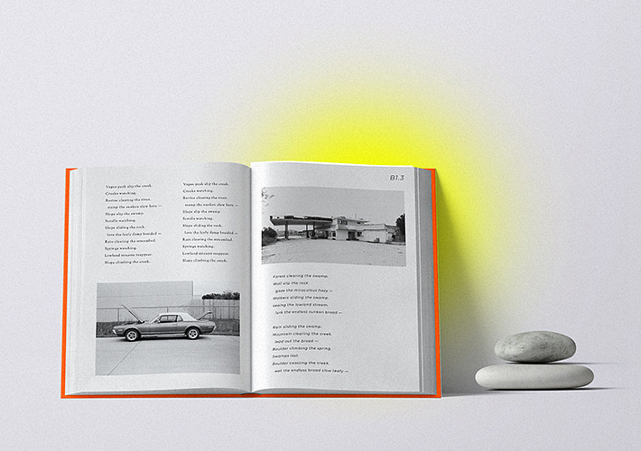 Kitap Lansmanı Mockup Seti