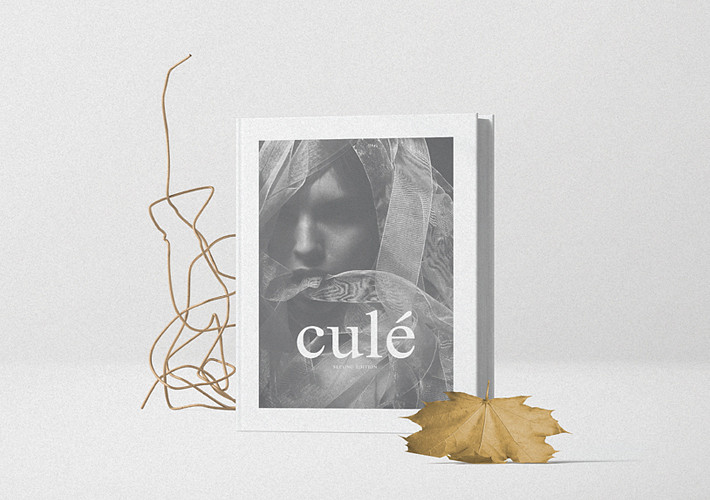 Paquete de Mockups de Libros de Moda