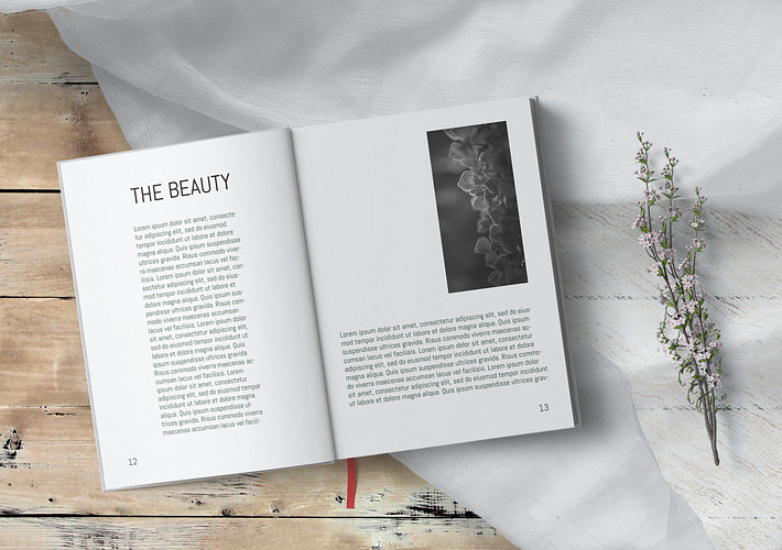 Pack de Mockups para Colección de Libros
