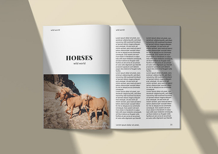 Pack de mockups de magazines