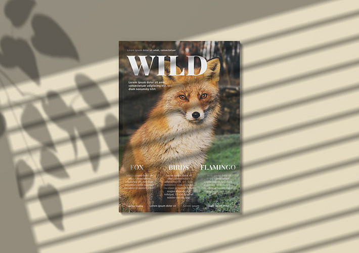 Pack de mockups de magazines