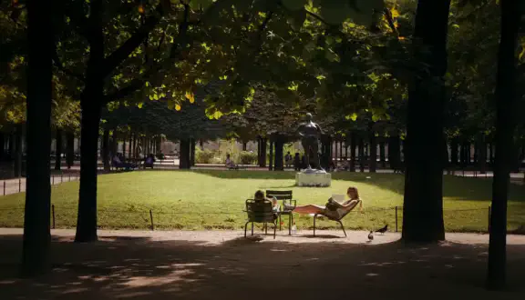 Sunlit park reader