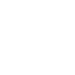 musicians