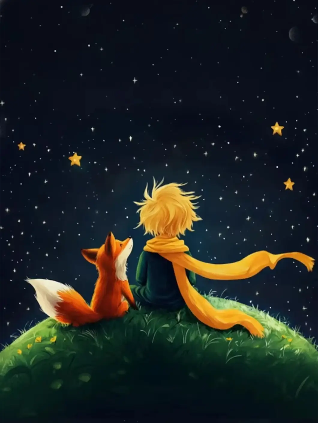 veo-fox-stargazing