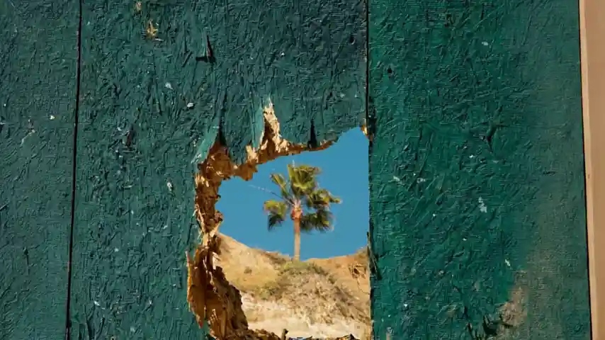 Palm through fence
